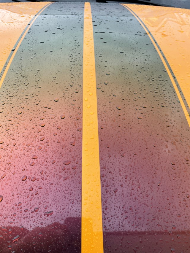 Close up of the hood of a car with two bold stripes running vertically in the frame. These stripes shift from maroon to greenish black and are on a yellow orange background.