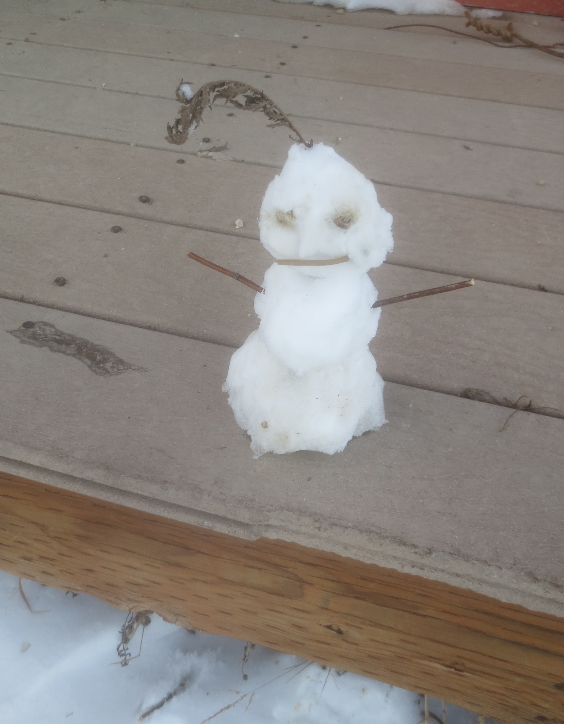 very small snowperson decorated with weeds